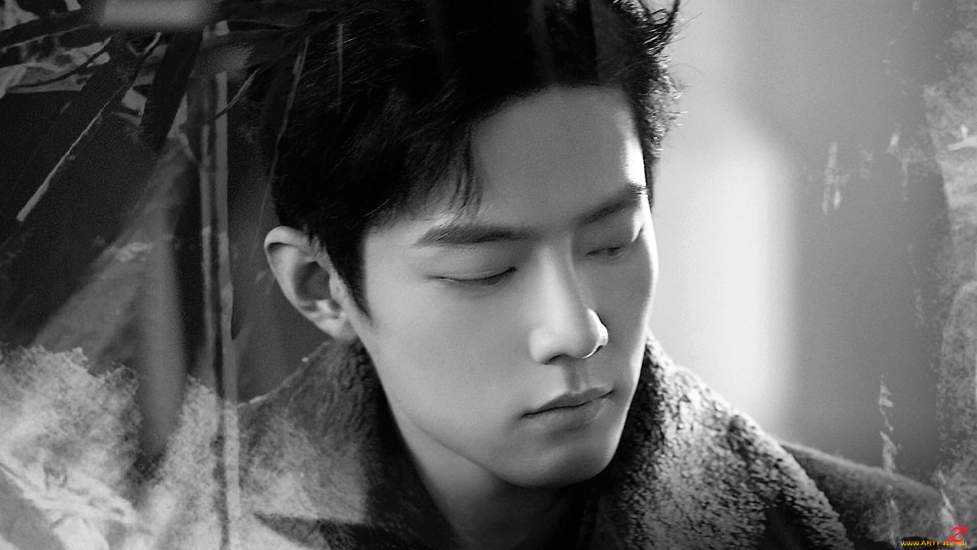 , xiao zhan, , 